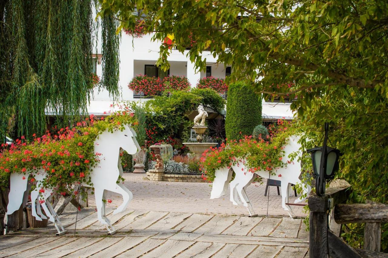 Domeniul Dracula Danes Hotel Luaran gambar
